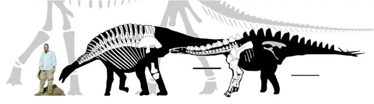 miragaia-paleontology-world